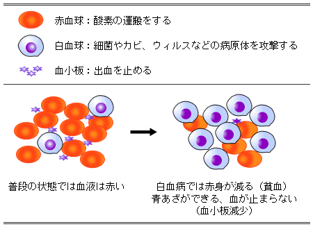 血球の種類