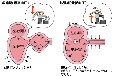 収縮期血圧(最高血圧)と拡張期血圧(最低血圧)