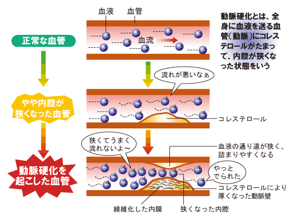 トマール・エル・メディカメント修正