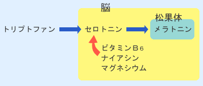 不眠　－クスリになる食材あれこれ－