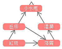 出血　～湿疹･じんましん～　－気になるからだの危険信号－