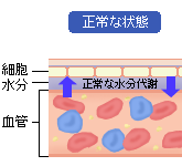 むくみ　－気になるからだの危険信号－