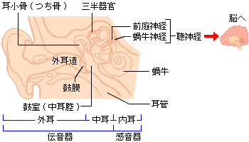 耳鳴り 電子 音