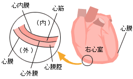 心臓 が たまに 痛い