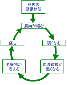 肩こり　－クスリになる食材あれこれ－