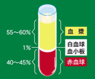 今日からはじめる健康づくり③　血液検査その1　～検査結果の見方・生かし方～