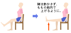 膝痛　膝の痛みを防ぐ体操　－気になるからだの危険信号 痛み－