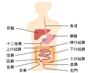 出血 血便 気になるからだの危険信号 生活習慣病を予防する 特定非営利活動法人 日本成人病予防協会