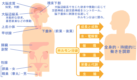 自然治癒力を高める心のもち方