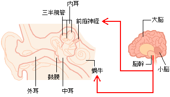 ふらふら する 病気