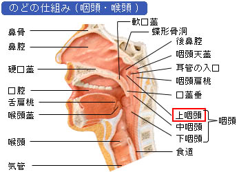 血 塊 鼻血 レバー の