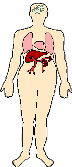 糖尿病の検査Ⅱ