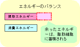 肥満の検査