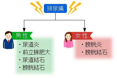 排尿時の痛み　－気になるからだの危険信号 痛み－