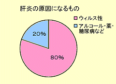 肝臓の検査Ⅱ