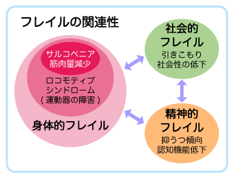 フレイルの関連性