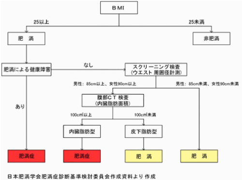 今日からはじめる健康づくり①　身体測定　～検査結果の見方・生かし方～