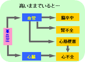 高血圧の検査Ⅱ