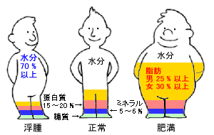 方 率 の 出し 体 脂肪 理想的な体脂肪率を知っていますか？減らす方法と男女の理想値も解説