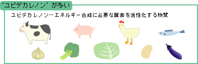 低血圧 クスリになる食材あれこれ 生活習慣病を予防する 特定非営利活動法人 日本成人病予防協会