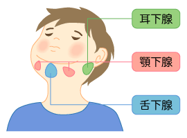 熱 なし の 下 が なし 痛い 片方 耳 腫れ 耳の下が痛い子供の熱なしの場合の対処法 病院は何科？