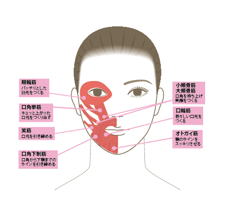 いつまでも若々しく！「顔筋トレ」で顔のたるみを予防しよう！