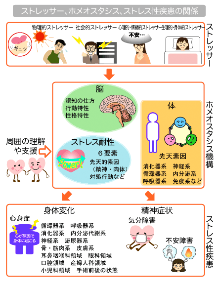 ストレッサー、ホメオスタシス、ストレス性疾患の関係