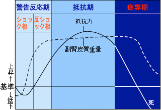 ストレスによる生体の抵抗力の変化